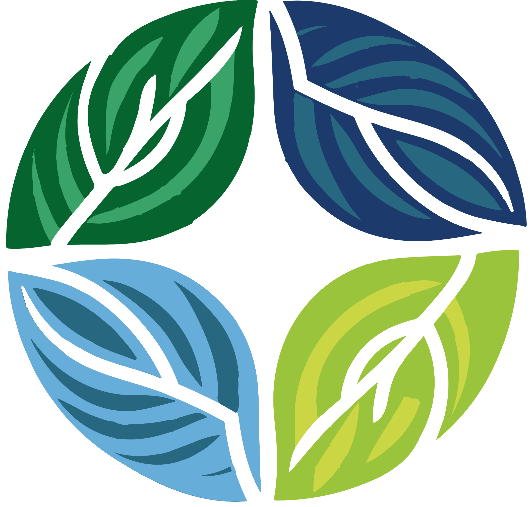 MaxxAmbiental